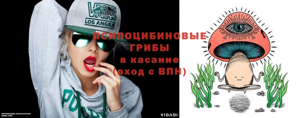 сатива Бабаево
