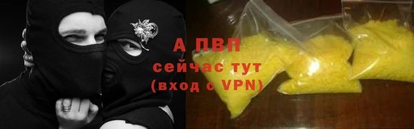 сатива Бабаево