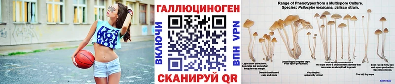 мега   Вытегра  Галлюциногенные грибы GOLDEN TEACHER 